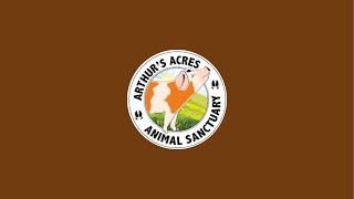 Arthurs Acres Animal Sanctuary is live!