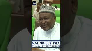 Education experts advocate establishment of vocational institutes in each state