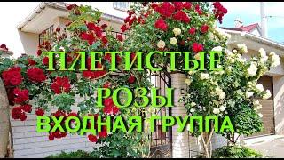 Дизайн входа в дом, оформление входной арки плетистыми розами, входная группа.