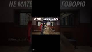 звонок в полицию. геодезическая 12. мусор. #менты #звонок #прикол #наркоман #мусора