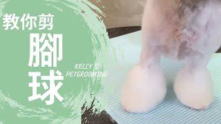 教你剪腳球｜凱莉老師 Groomer Kelly｜寵物美容教學｜How to trim the pompom feet