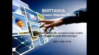 Diseno Web a bajo costo / Web design barato / Paginas web a bajo costo / Economico diseno Web