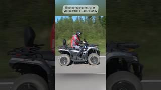 Замеряем максималку на новом доступном 4x4 квадроцикле Bison 450!