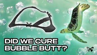 Saving Charlotte: How 3D Printing Helps Sea Turtles with Bubble Butt Syndrome