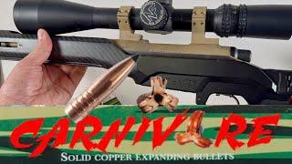 308 Bear Hunting Setup for Alaska | 165 gr T-REX Carnivore | MDT HTN26 Chassis