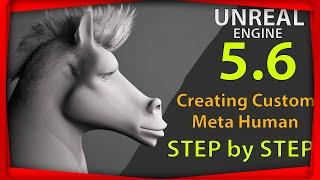 Unreal Engine 5.6(Custom Meta Human Extreme)