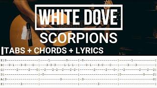 White Dove by Scorpions | Acoustic Guitar Cover +Tabs, Chords & Lyrics