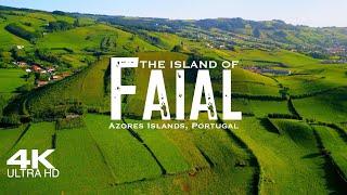 FAIAL Island  Fayal Drone Aerial 4K 2024 | Azores Açores Portugal