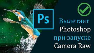 Не открывается Camera Raw в Фотошоп.