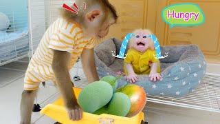 Pupu Pampers Baby Monkey Poki when he asks for a Mango