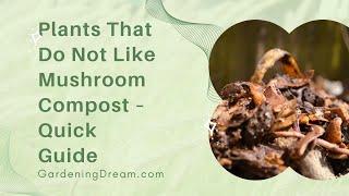 Plants That Do Not Like Mushroom Compost – Quick Guide