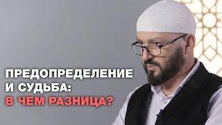 Предопределение и судьба: в чем разница?  Ислам и жизнь