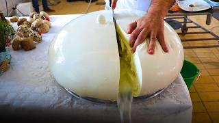 How is Mozzarella Cheese Made in Factories? The Secret Behind Making Mozzarella Cheese!