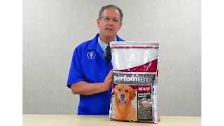 PetSolutions: Performatrin Large Breed Formula Adult Dry Dog Food