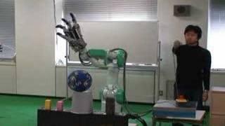 Future robots-Motion execution by robot hand