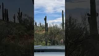 Wandering West: Vistancia Loop Trail Adventure Awaits! #travel #offroad #adventure