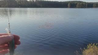  Silent Pike Fishing in a Hidden Norwegian Lake – 50+ Min Baitcasting Adventure