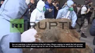 Russia: Yuka the 40,000-year-old mammoth arrives in Moscow