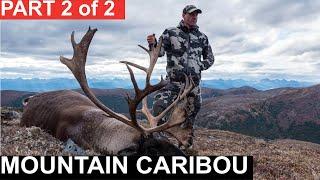 A Fall Classic Mountain Caribou Part 2 | Greg McHale's Wild Yukon