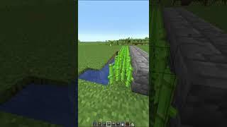 MAKE SUGARCANE FARM IN 60 SEC #shorts #gaming #minecraft #games #youtubeshorts #shortfeed #viral