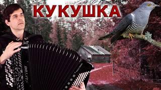 СЛЕЗЫ ТЕКУТ РУЧЬЕМ! Кукушка. Афганистан. Память... - поет Вячеслав Абросимов