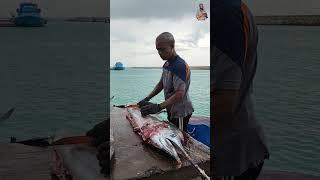 50kg sword fish cutting #fish #trending #viralvideo #shorts #short