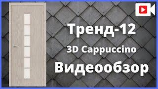 Межкомнатная дверь Браво Тренд-12 3D Cappuccino - видеообзор