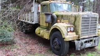1969 WHITE WESTERN STAR TWIN STICK