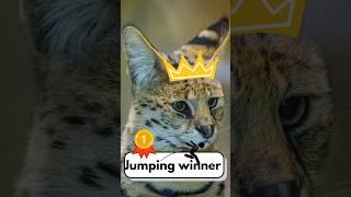 The Servals Unique Super Jumps! ️