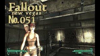 Fallout NV s 051 Солнечные блики