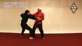 Kenpo Home Training DVD - Sample Technique