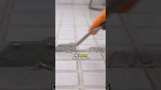 Porcelain Tile VS Ceramic Tile.. What’s the Difference?