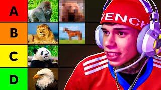 TIERLIST DE ANIMALES A LOS QUE LE GANARIA!! - BYEDUARDITO (Video Oficial)