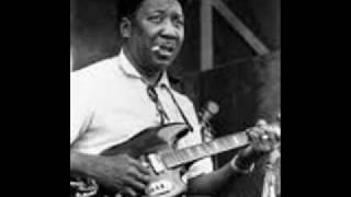 Muddy Waters / Garbage Man