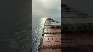 Sunday Day30 of life at sea  civitavecchie