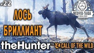 theHunter call of the wild #22  - Лось-Бриллиант - Винтовка - Медведь, Кабан, Рысь, Лось, Кабарга