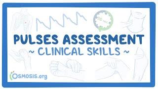 Clinical Skills: Pulses assessment