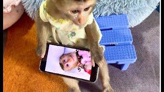 Monkey Linda is sad because monkey KaKa has a high fever! full video