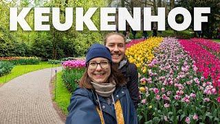 KEUKENHOF in Lisse - das ist der Tulpengarten an der niederländischen Küste!