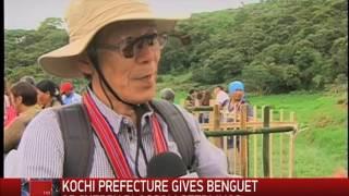 Cherry blossoms from Japan planted in Benguet