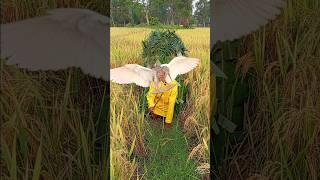 bird catching friend#funny# video#indonesia #mexico #vietnam #italy #
