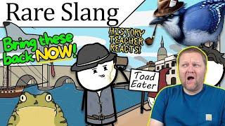 Absurd Historical Slang that Needs to Come Back | BlueJay | History Teacher Reacts