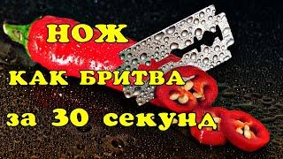 Кухонный Нож будет как бритва за 30 сек!