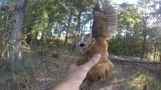 Rescuing a screech owl tangled in fishing line, New Jersey - 09/06/2015