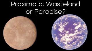 Is Proxima Centauri b Habitable?