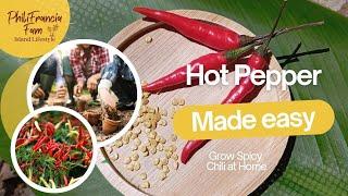 Grow Hot Chili Peppers in Palawan! ️