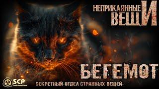 100 САМЫХ ОПАСНЫХ ВЕЩЕЙ ФОНДА SCP. НОМЕР 1 КОТ.