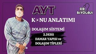 Dolaşım Sistemi | 2. Ders Damar Yapısı ve  Dolaşım Tipleri| #2025tayfa