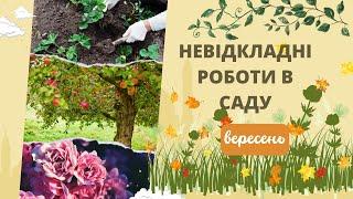 Сад восени: невідкладні роботи у вересні