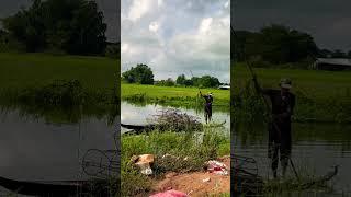 Rural fisherman #shortvideo #shorts #shortsyoutube #shortvideos #short